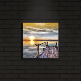Wallity 2828İACT-5 Multicolor